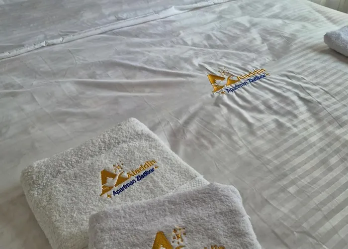 アパート Aladdin *