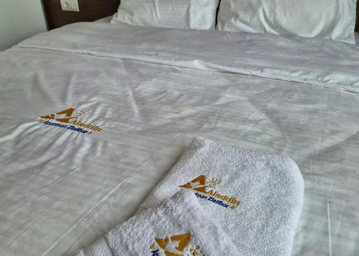 アパート Aladdin *